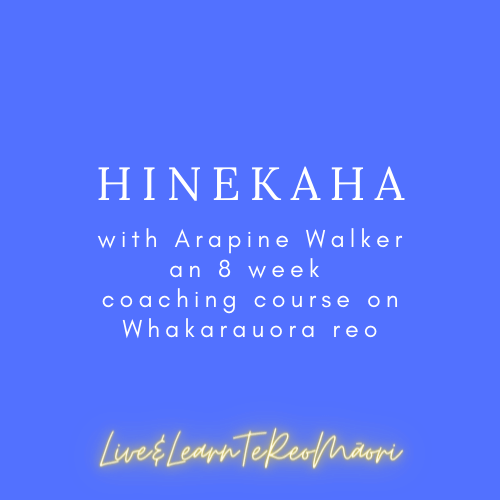 Hinekaha - 8 week course for Māori women on Whakarauora reo Māori